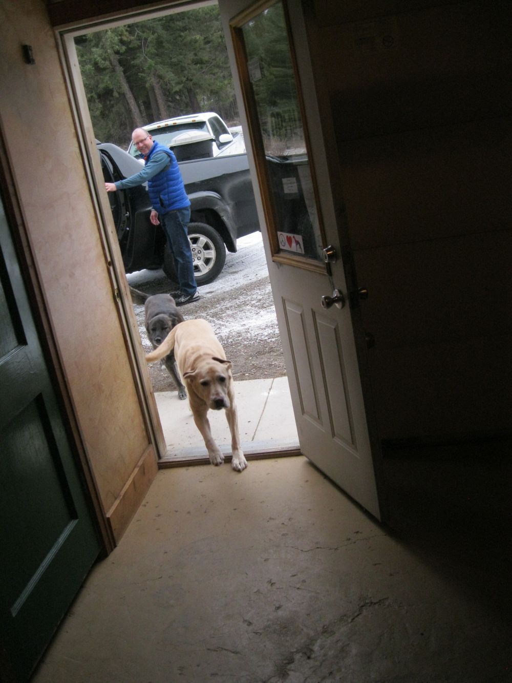 Dog at the Door Entrance — Lakeside, MT — Monica's Pet Grooming & Boarding