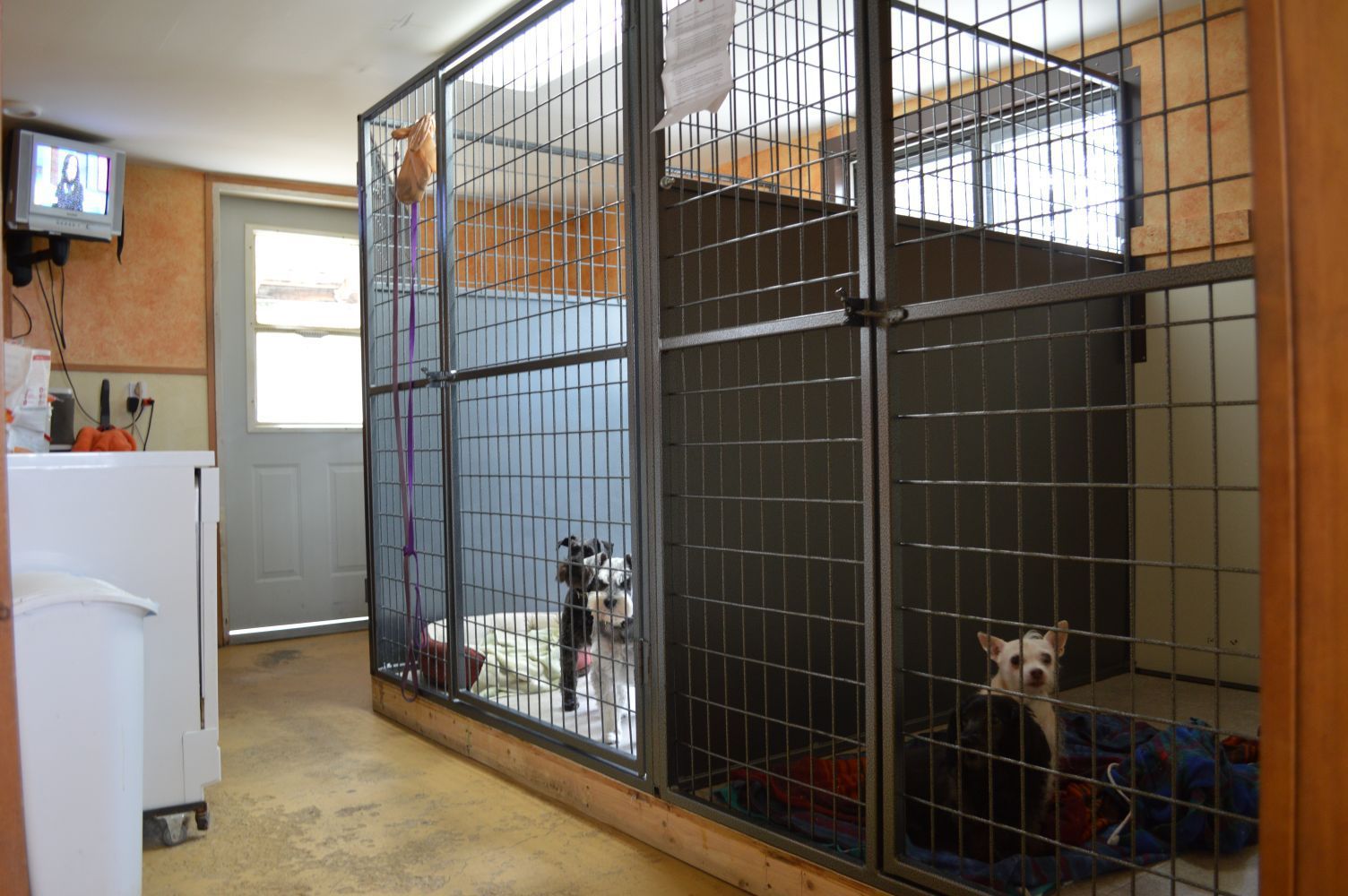 Boarding Facility — Lakeside, MT — Monica's Pet Grooming & Boarding