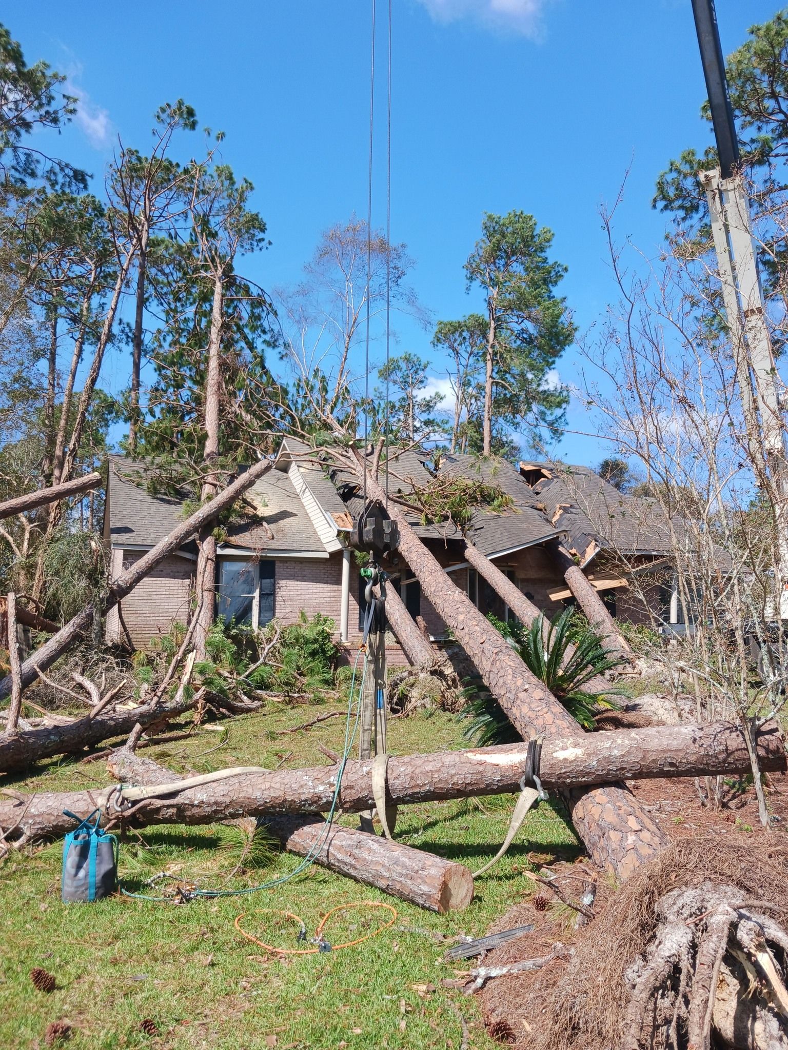 Fallen trees damage a house with a damaged roof, blue sky above.