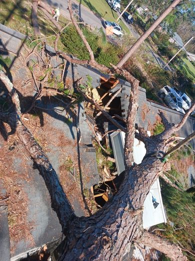 Tree fallen on roof, causing damage. View from above of broken shingles and tree branches.