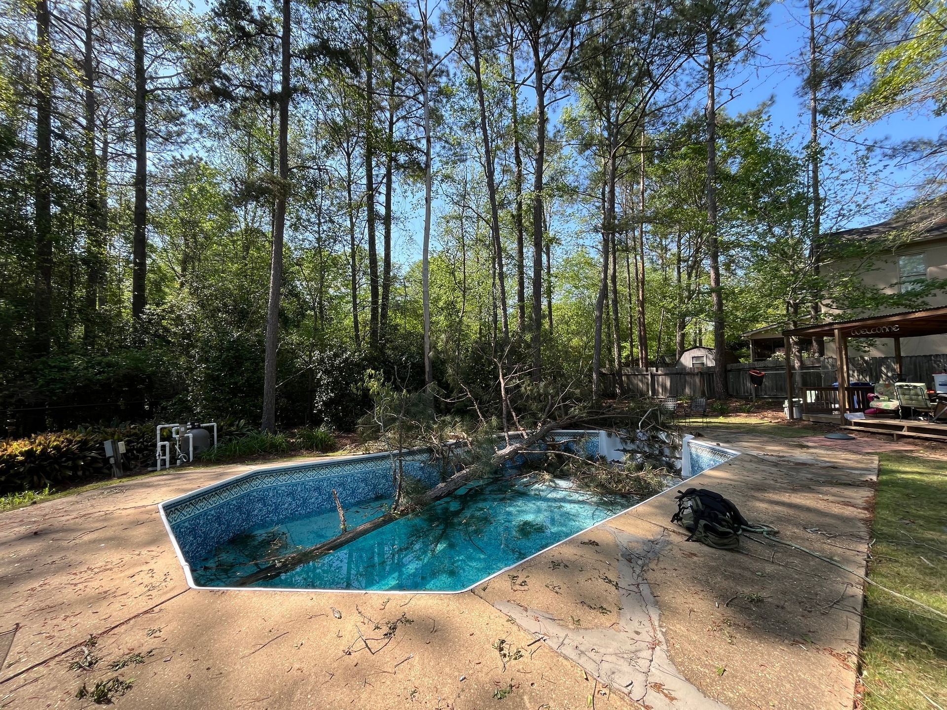 Tree branches fallen into a backyard swimming pool. Trees and house are in the background, a sunny day.
