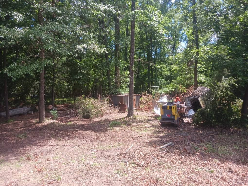 Clearing in a wooded area with debris and an excavator.