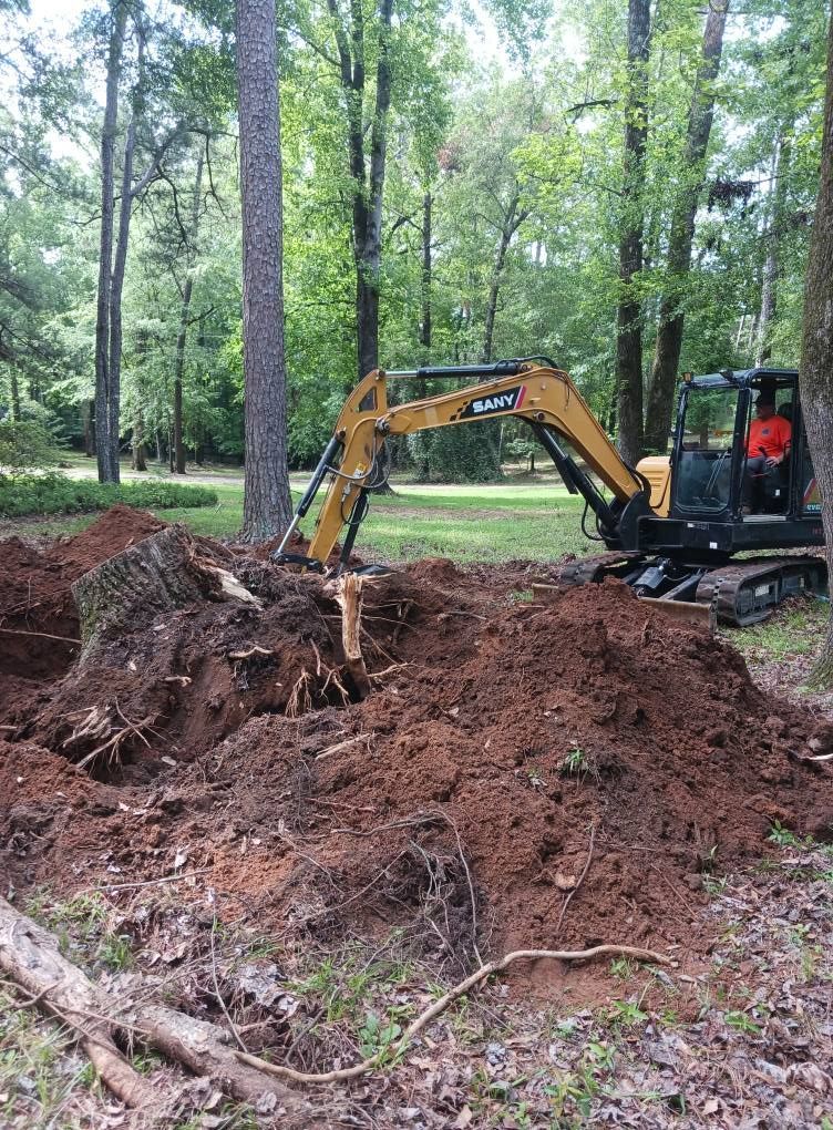An excavator removing a tree stump in a wooded area. The machine is yellow and black.