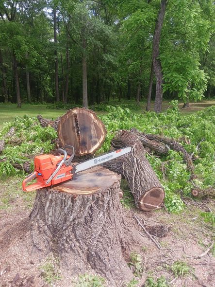 Orange chainsaw on a tree stump, with cut logs and greenery in a wooded area.