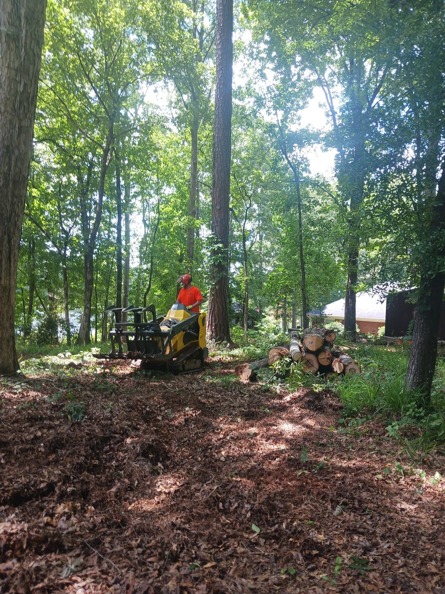 Person operating machinery in a wooded area; tree trunks, logs, and other trees in the background.