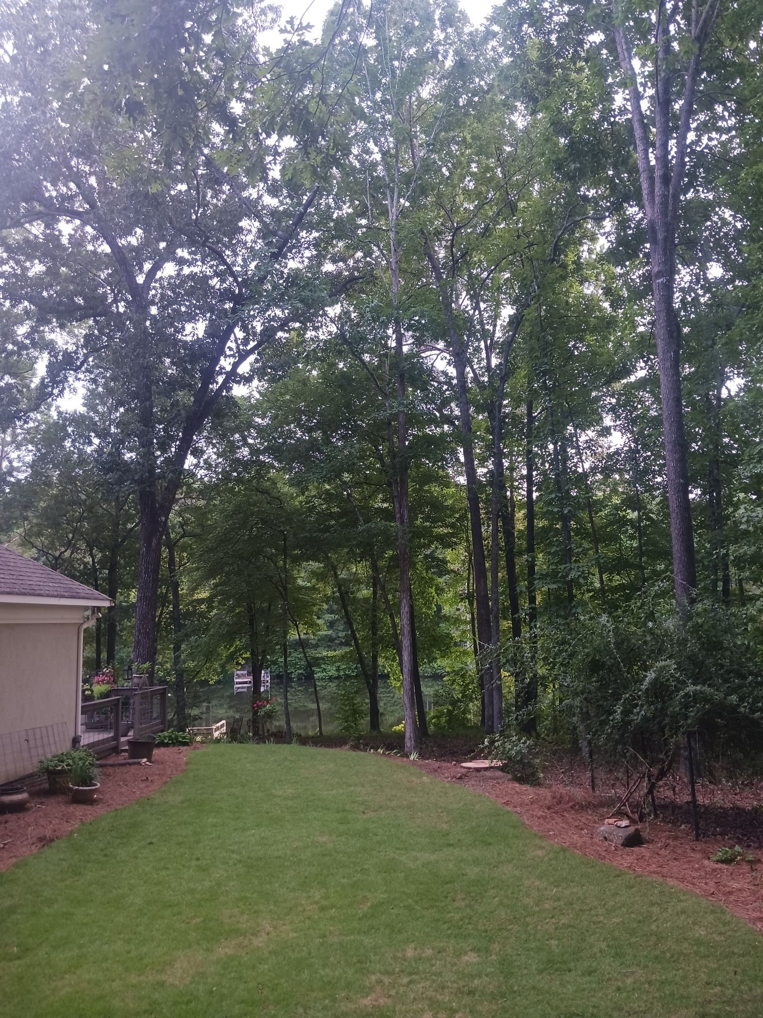 Green backyard with a lawn, bordered by trees and a house on the left.