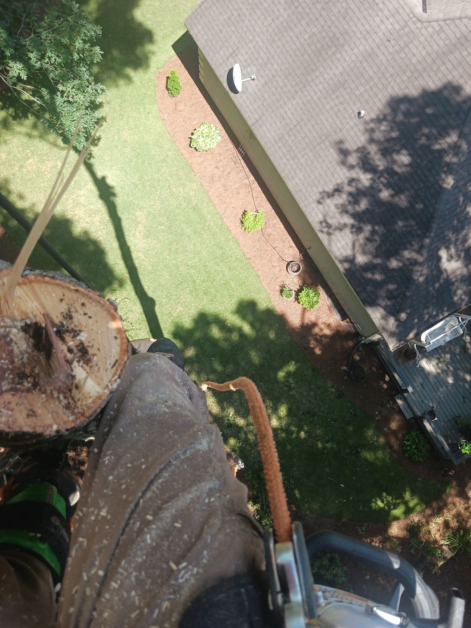 A person using a chainsaw to cut a tree limb, aerial view.
