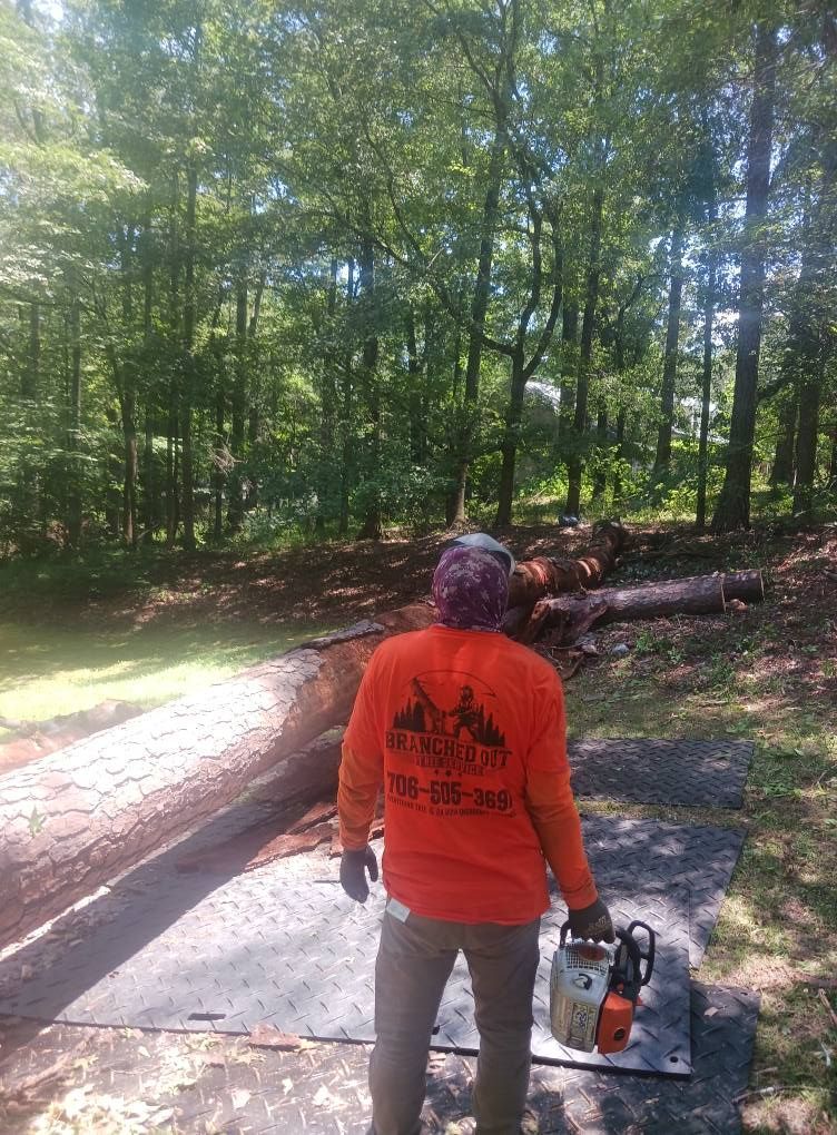 Man in orange shirt with a chainsaw stands by a fallen tree in a wooded area.