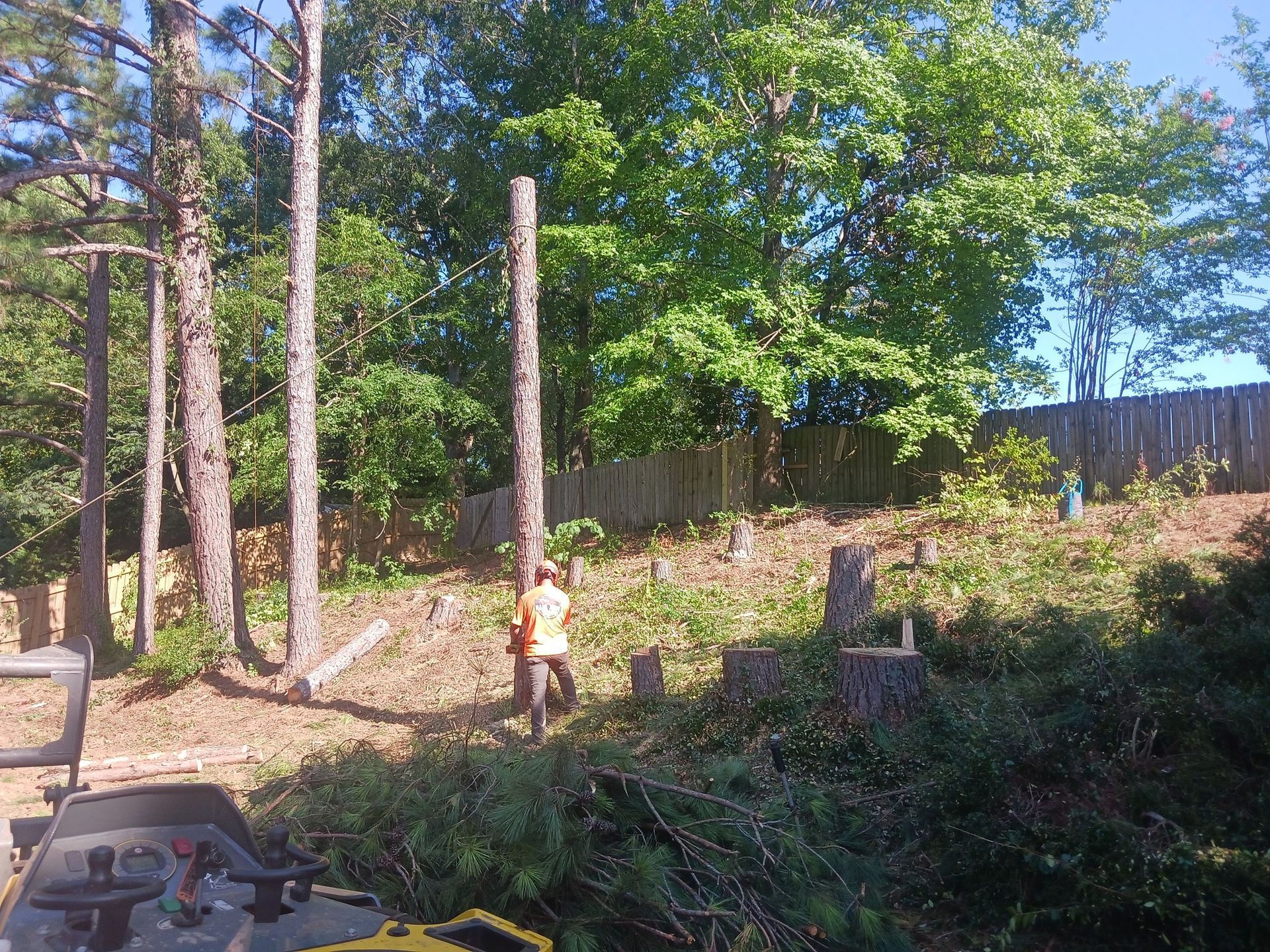 Man in orange vest cutting tree trunk in a yard, surrounded by cut branches and trees, sunny day.