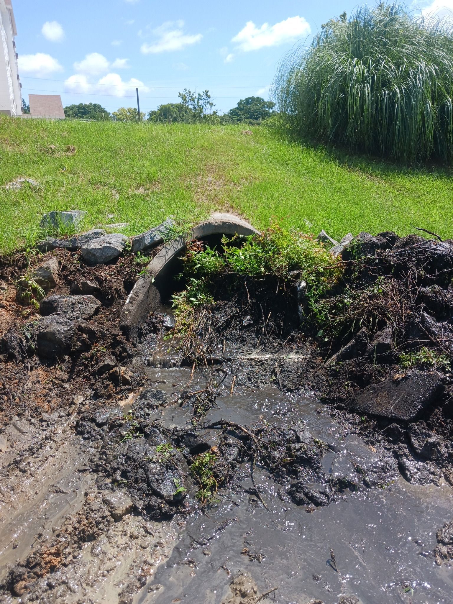 Drainage pipe emerging from soil and grass. Green and blue sky in background.
