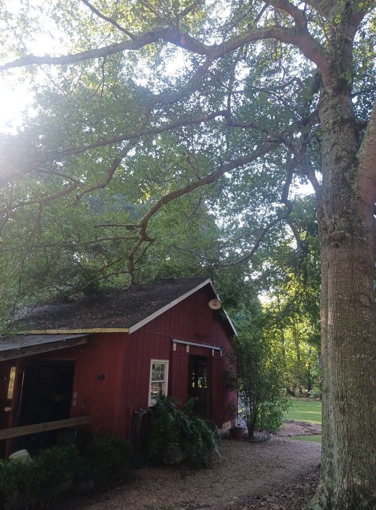 Red building with porch, nestled under large trees in a wooded area.