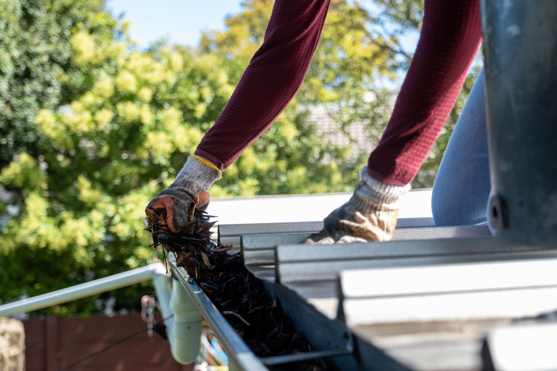 A person is cleaning a gutter on a roof