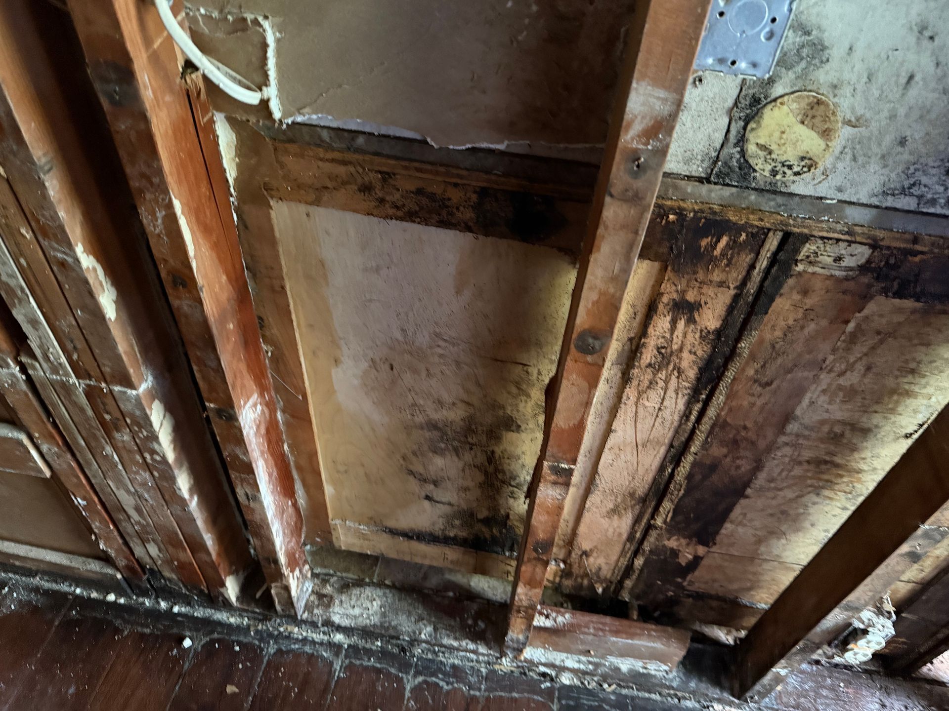 Roof Inspections in San Luis Obispo, CA