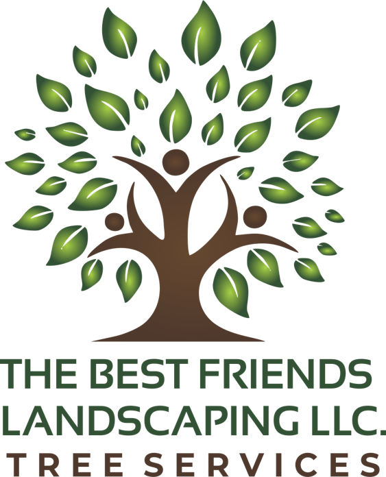 The Best Friends Landscaping Llc, Best Trees Landscaping Llc