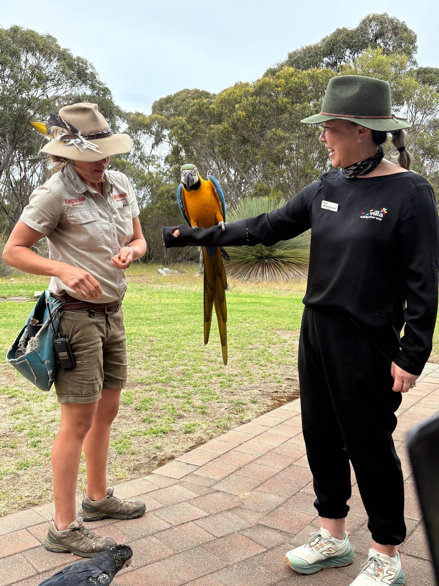 Villa Carlotta Managing Director and Villa Tour Leader Margaret Buswell handling a parrot during a visit to Kangaroo Island Wildlife Park