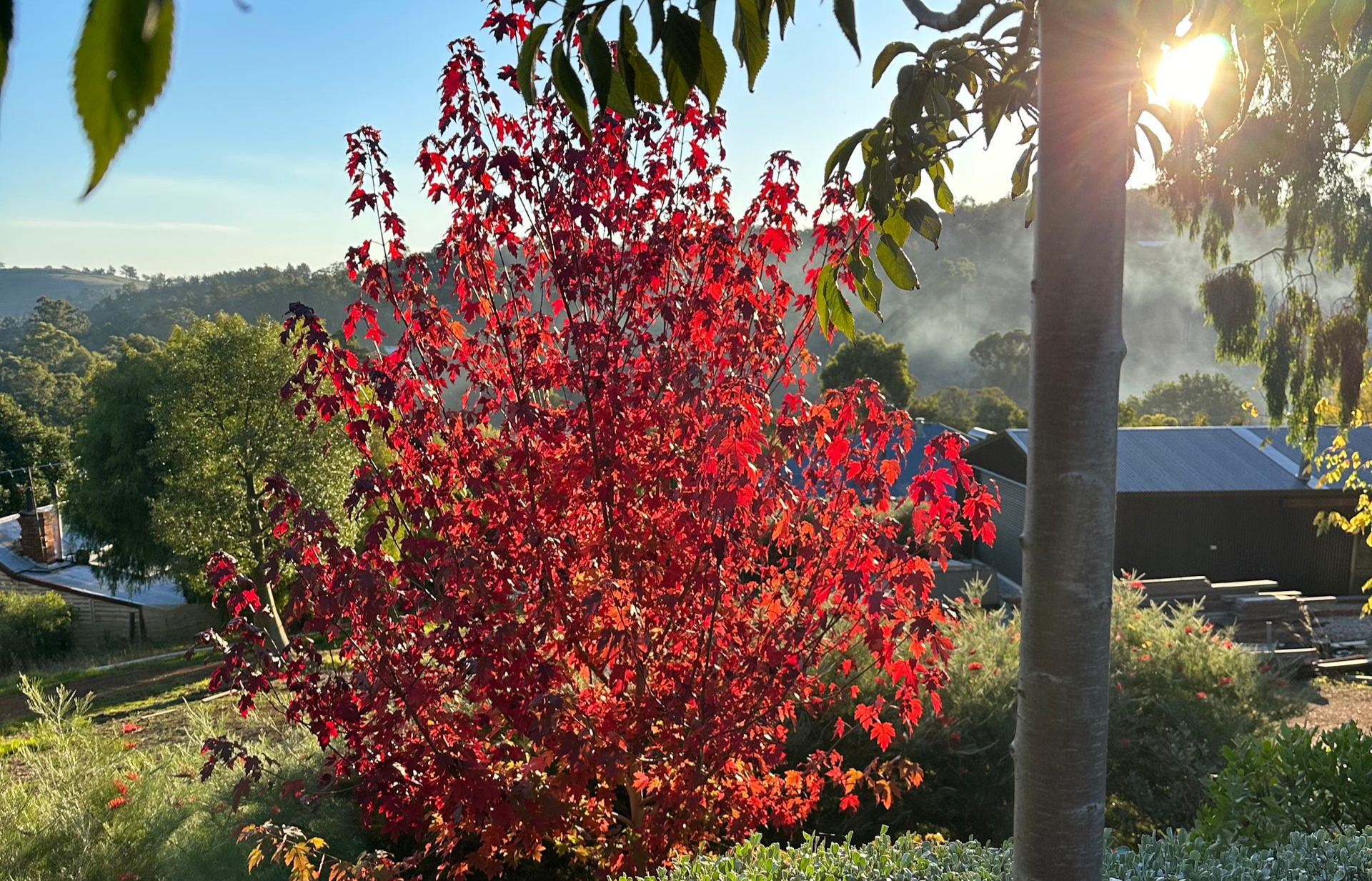 Goldields of Western Australia