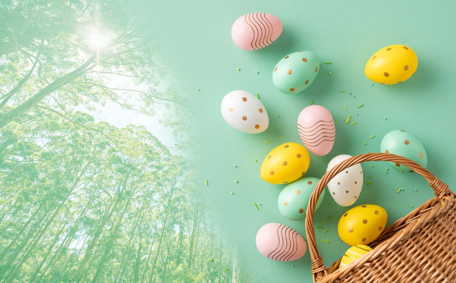 Easter in the South West. Egg basket and Karri Forest