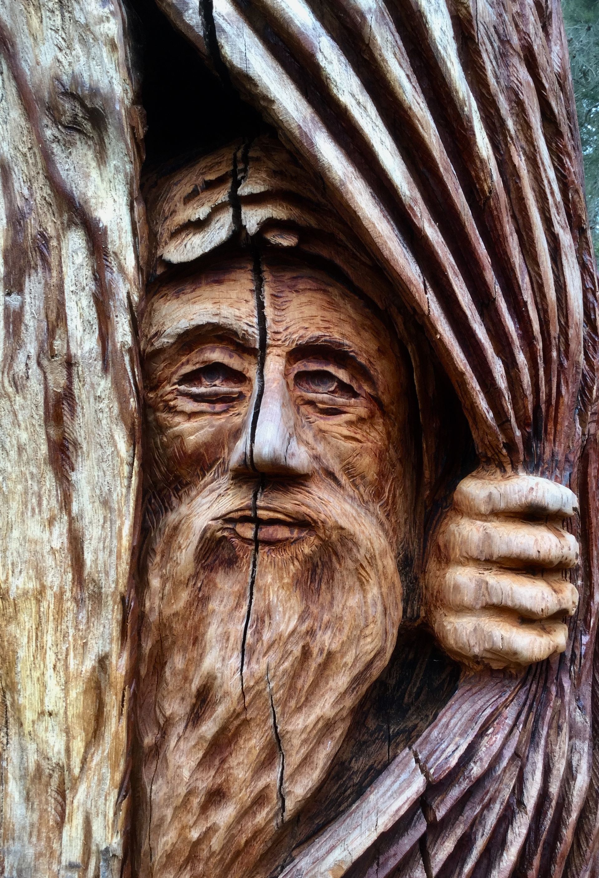 A tree stump carving of a mans face with his hand peeling back layers like a curtain. Art work by Darrel Radcliffe in Albany