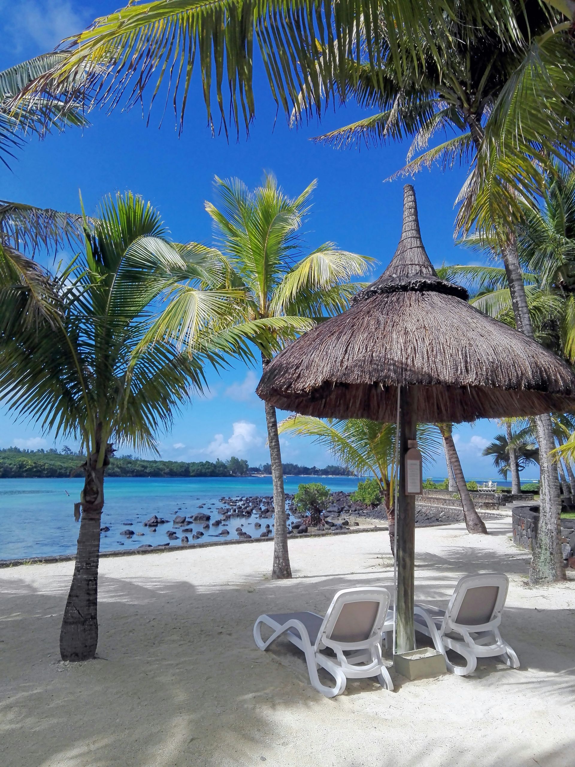 Tall palm trees flanking low white beach chairs on pristine white sands overlooking the blue ocean on a sunny day in Mauritius