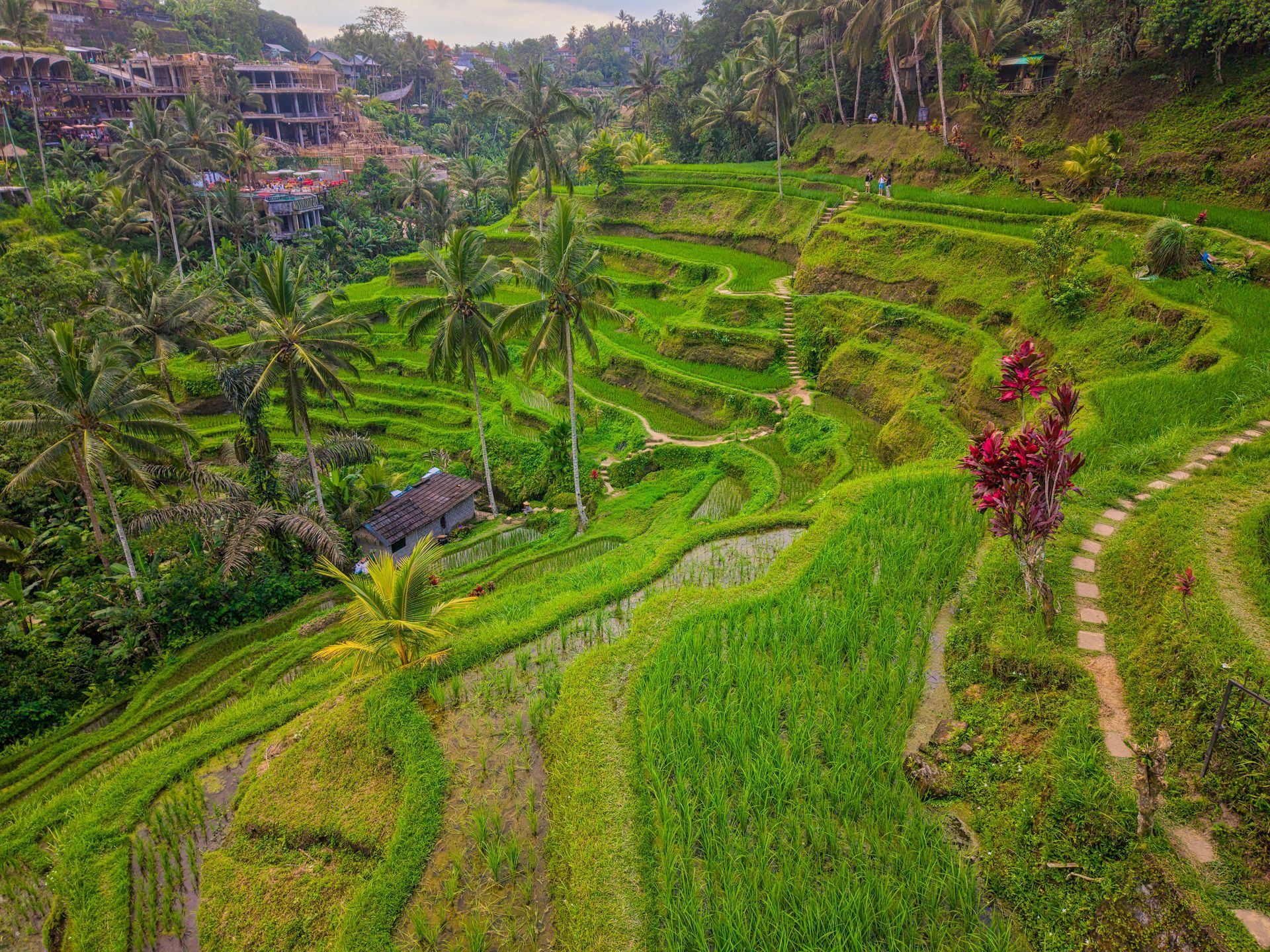Bali

