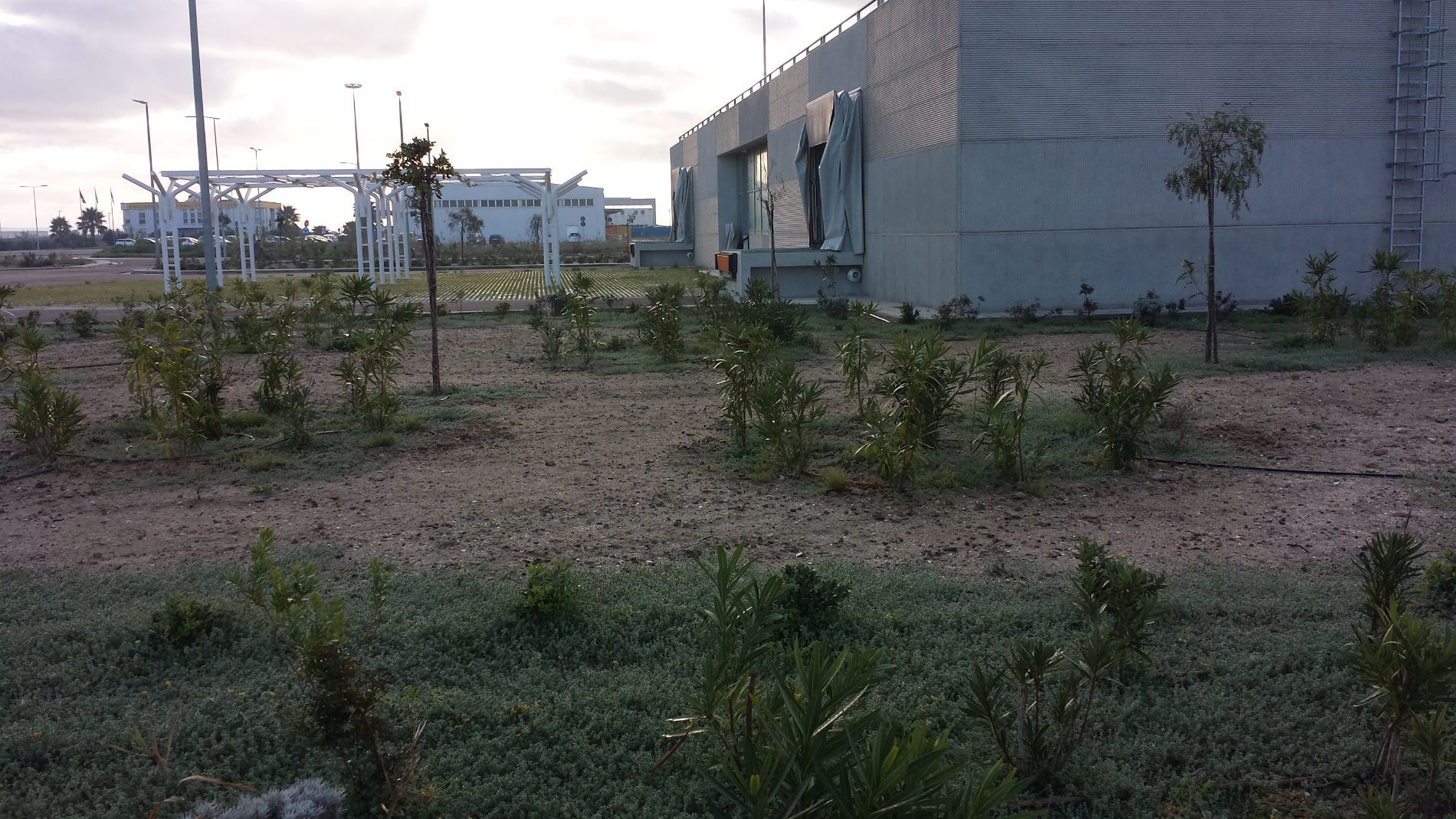 manutenzione edificio autorità portuale