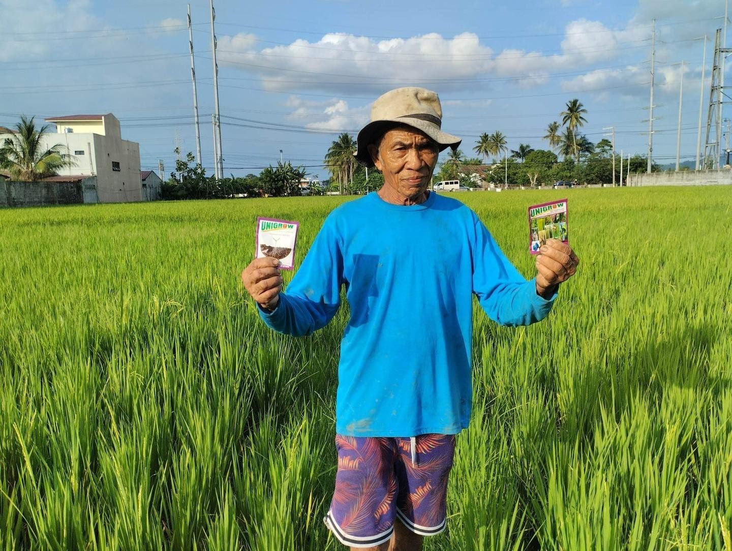 A man in a blue shirt and hat is standing in a field holding two cards.
