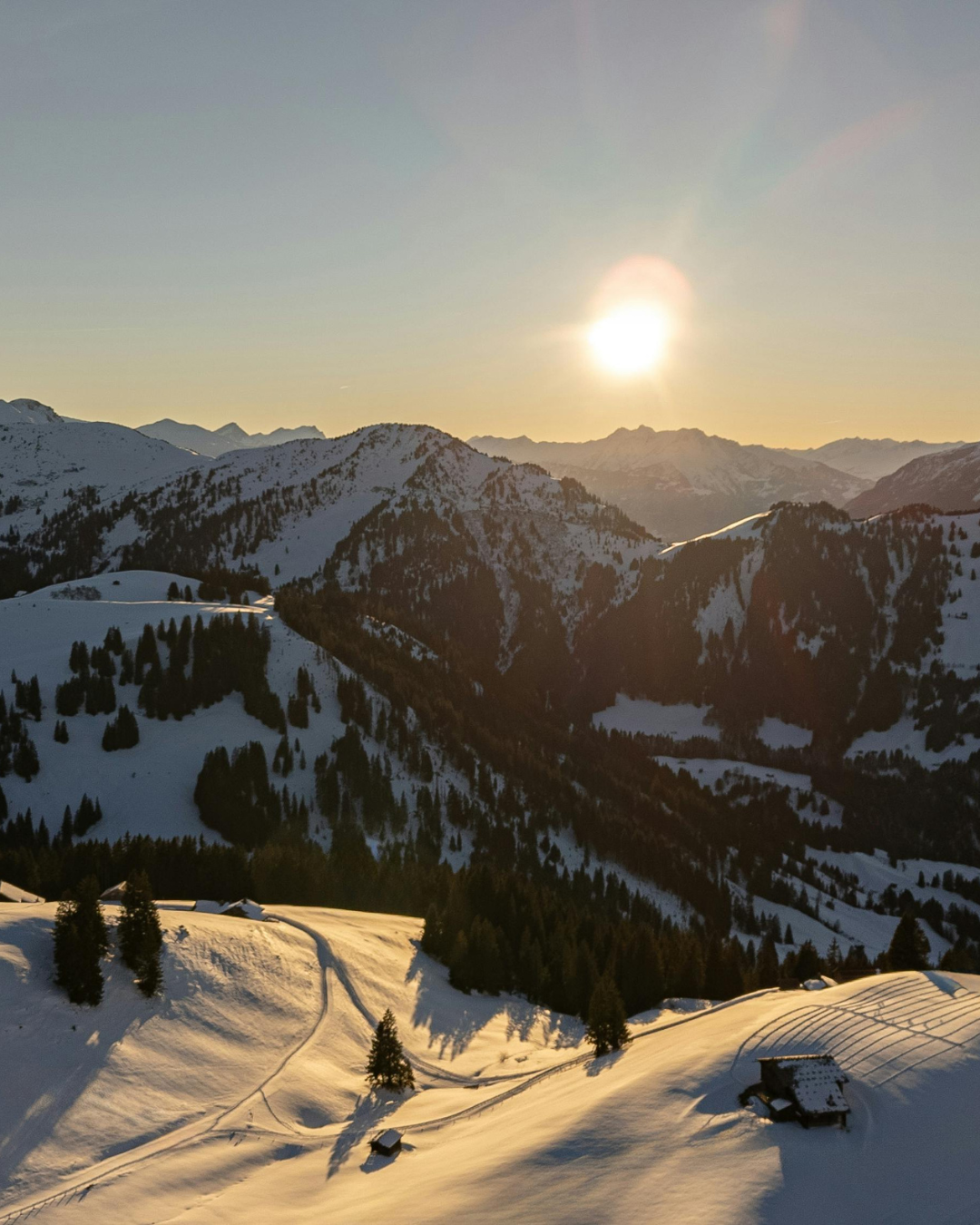 Montagnes enneigées au coucher du soleil, soleil éclatant, vallées et arbres épars.