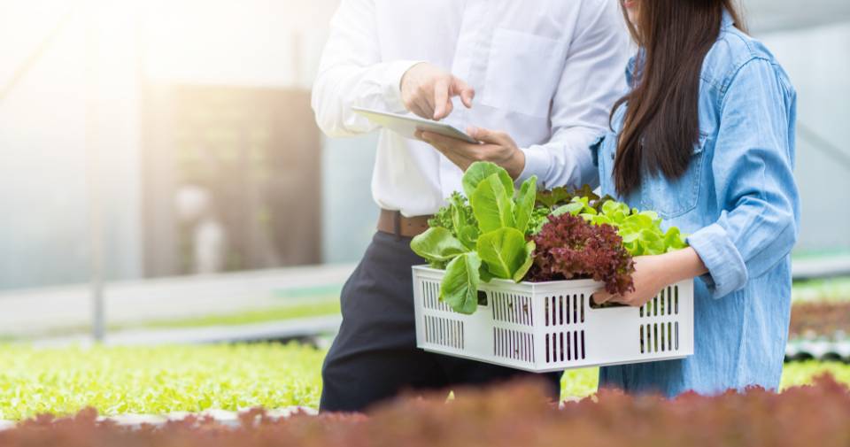 agricultural farming with researcher
