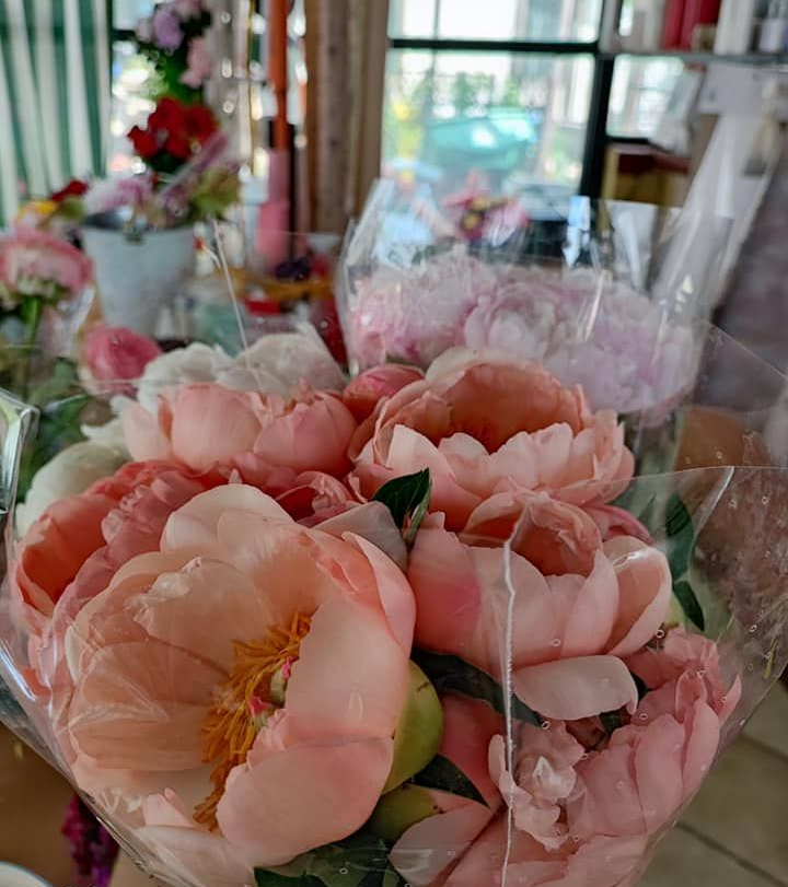 Mazzi di peonie rosa avvolti in plastica trasparente su un tavolo in una stanza luminosa