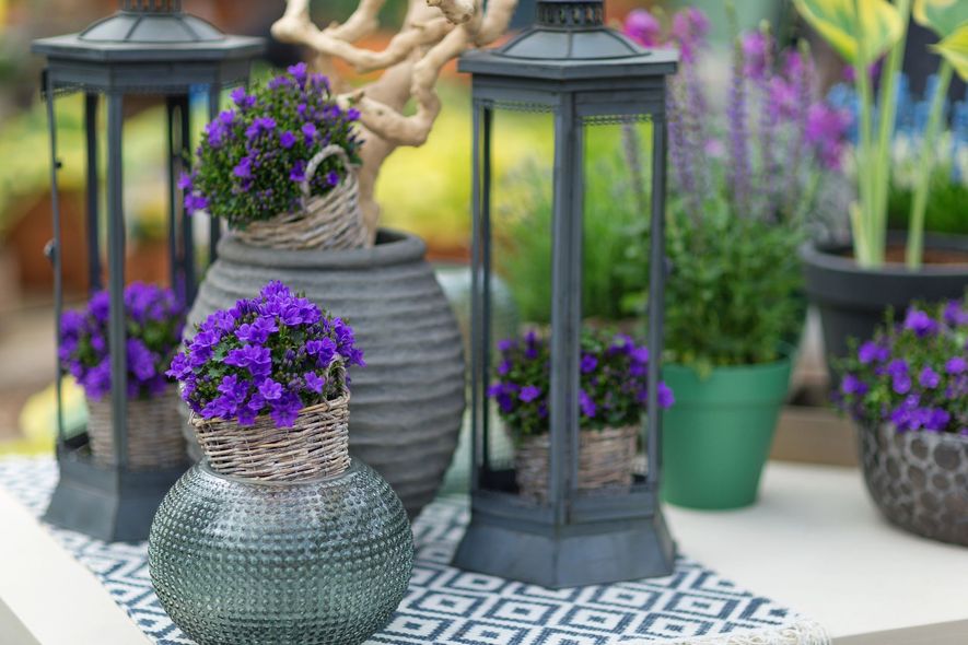 Fiori viola decorativi in ​​cesti intrecciati e lanterne su un tavolo decorato all'aperto