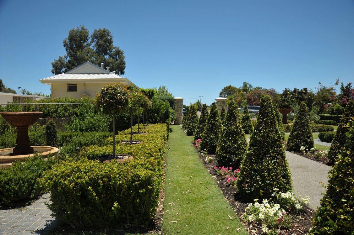 Giardino formale con siepi potate, arbusti a forma di cono e una casa gialla sotto un cielo azzurro limpido.