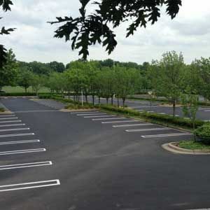 Empty parking lot with white lines, lined with trees and a cloudy sky.