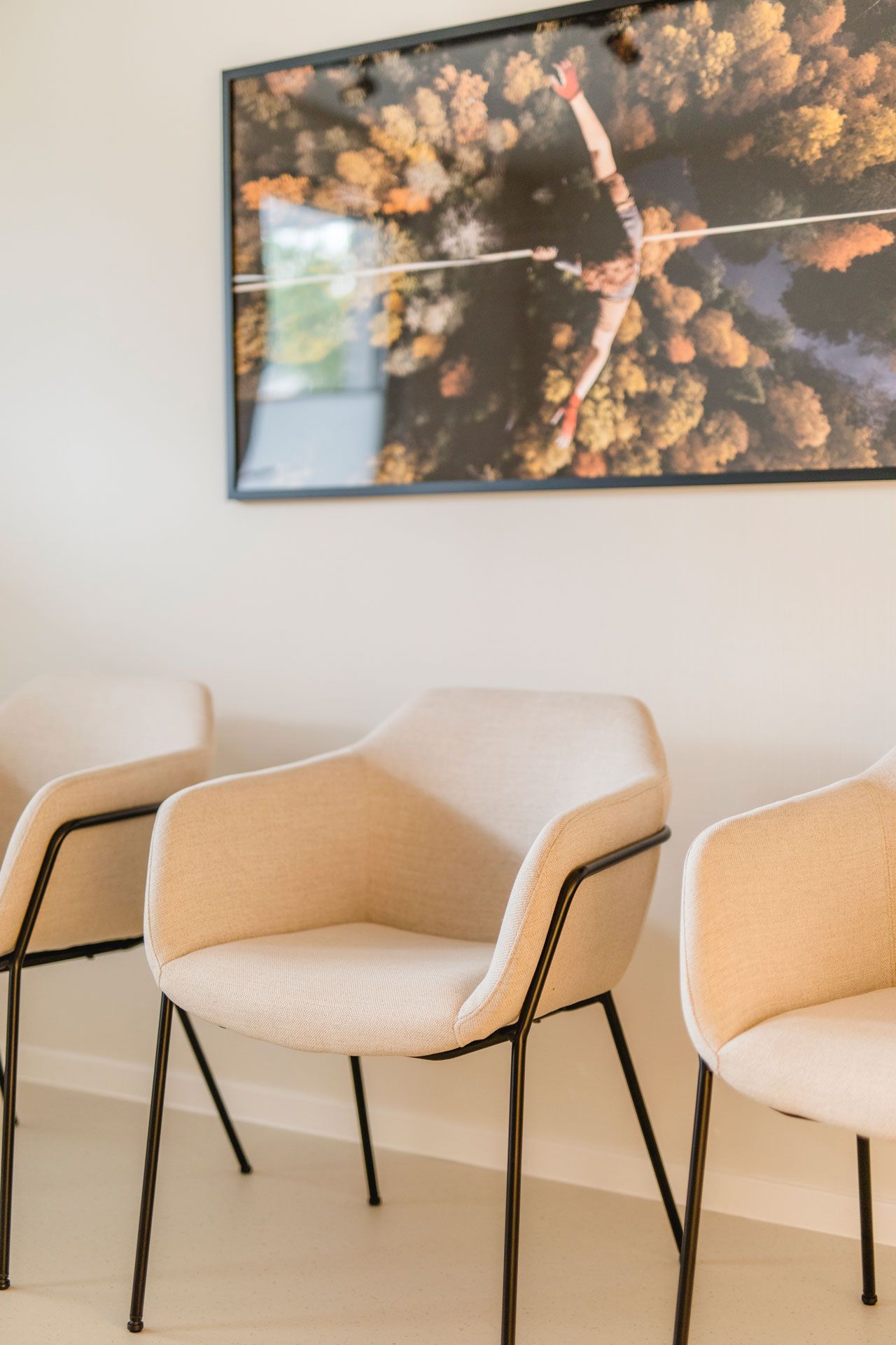 Wartezimmer mit mit Stoff bezogenen Stühlen mit einem schwarzen Metallrahmen und beigem Stoff, ein Bild vom Wald von oben hängt an der Wand