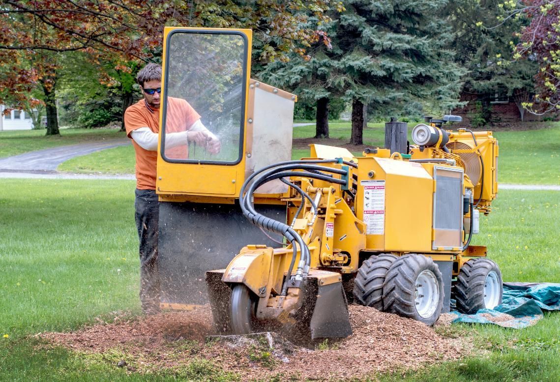 A man is using a stump grinder to remove a tree stump in a park.