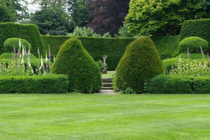 A lush green garden with a statue in the middle of it.