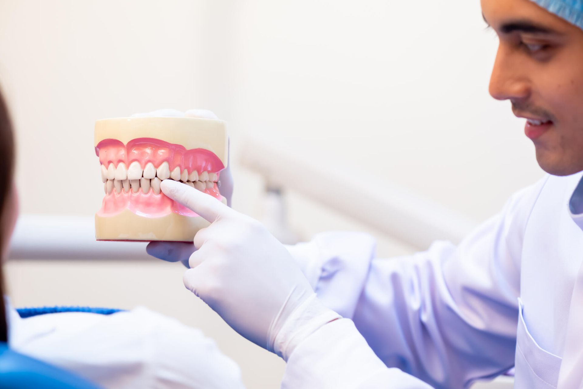 A dentist is pointing at a model of a person 's teeth.