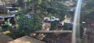 A tree being cut down. A white truck and machinery are visible.