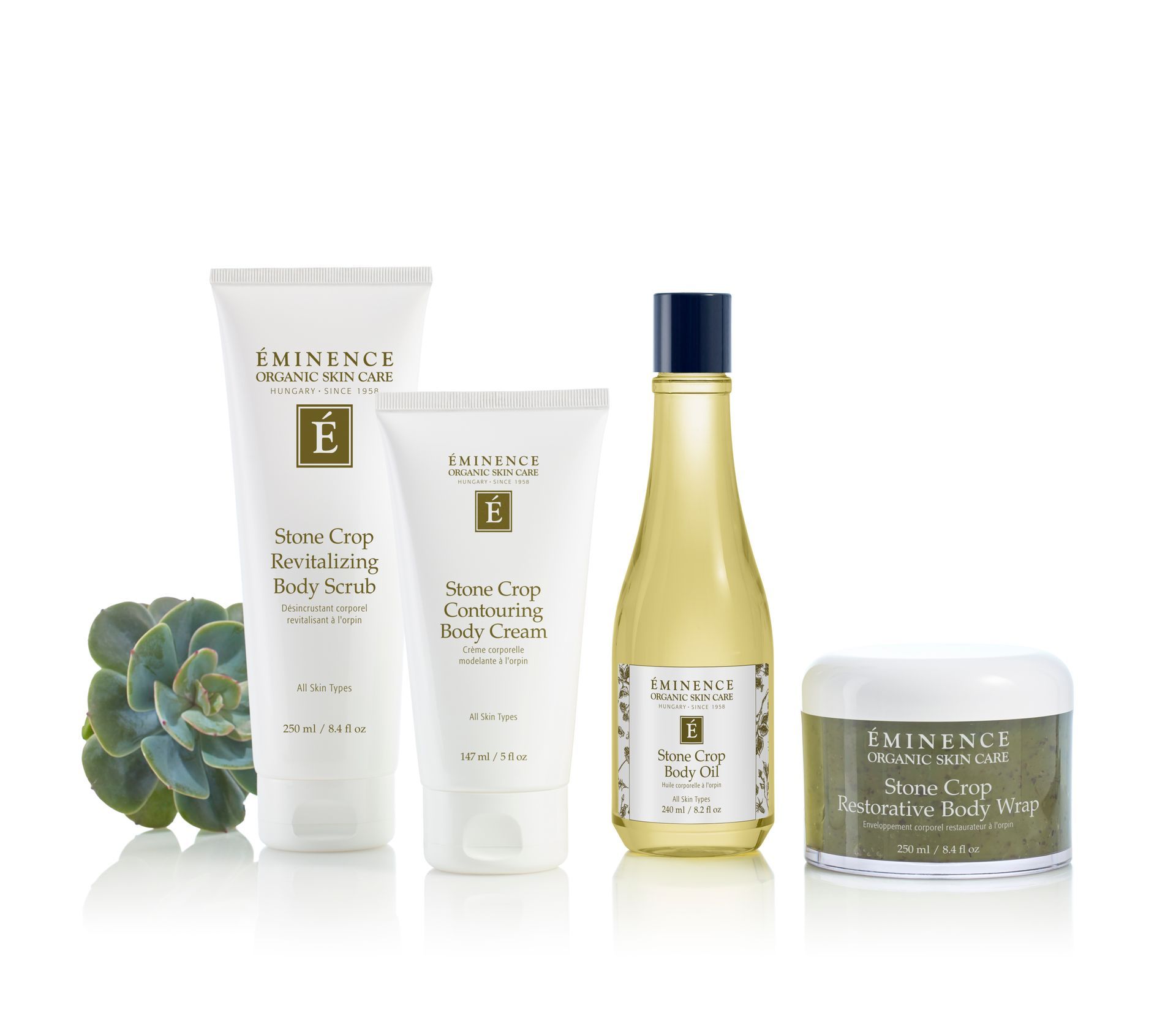 nieuwsbrief Daily Balance Wellbeing Studio januari 2025