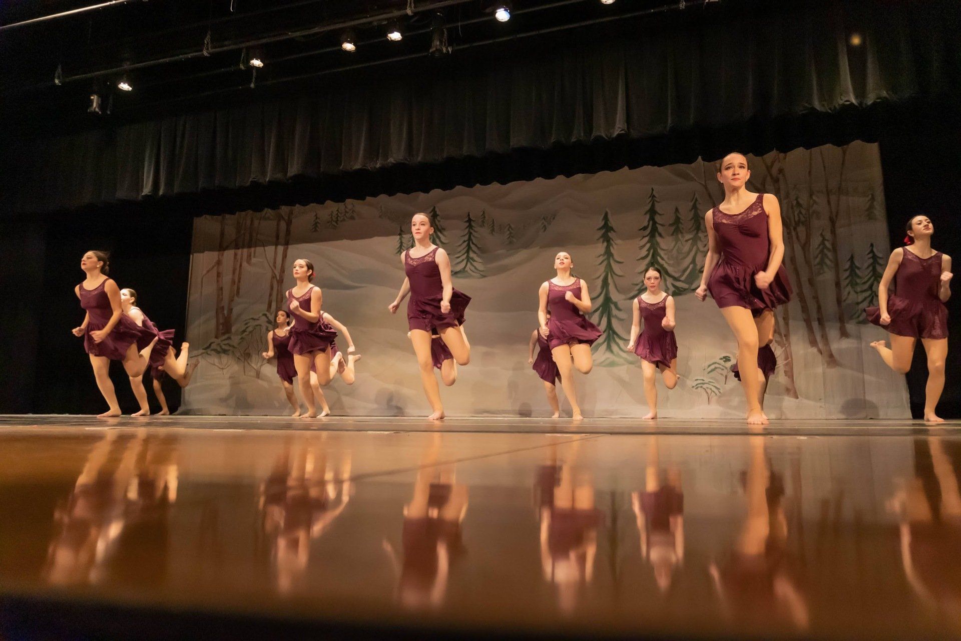 Purple Dress Dance Performance