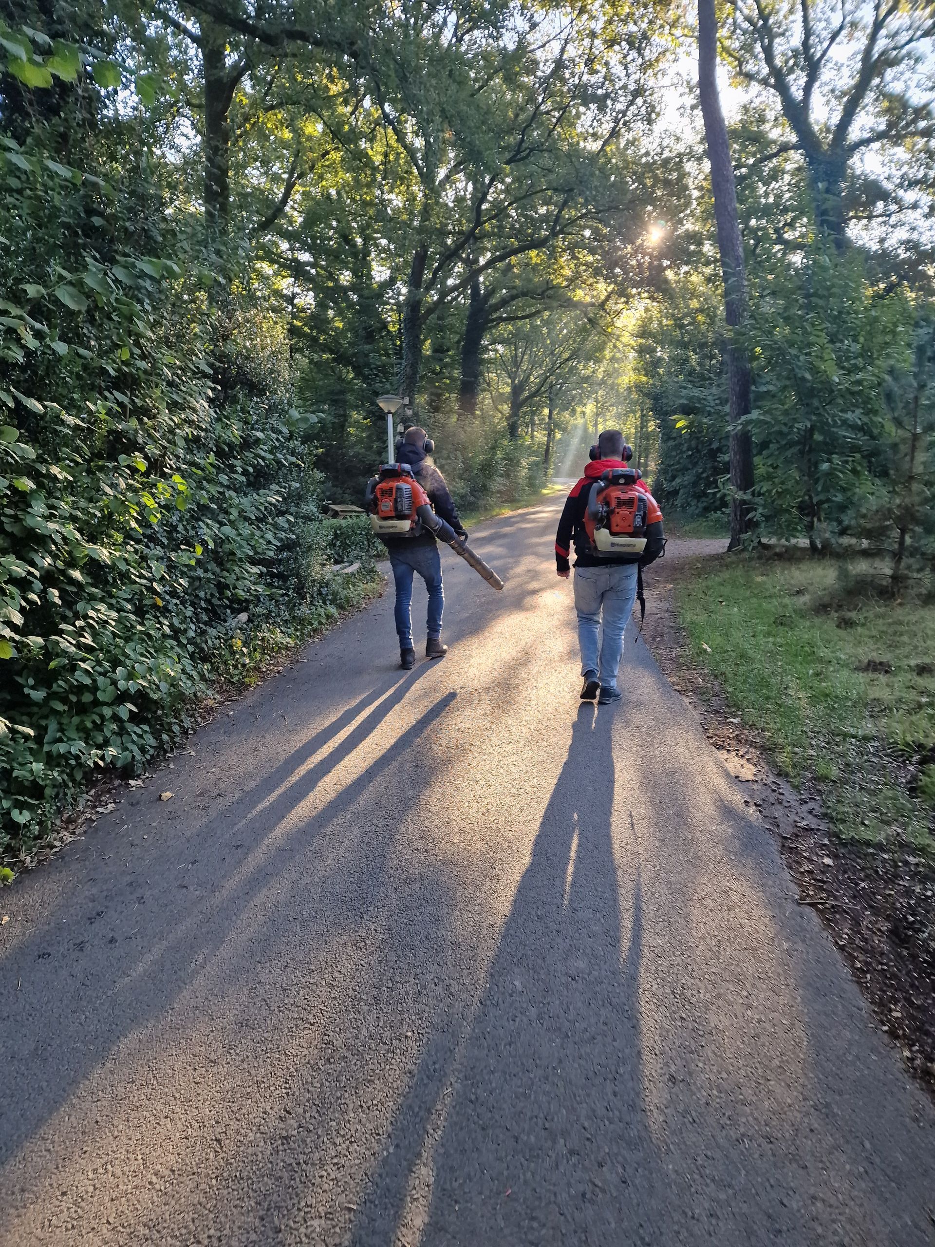 Samen102 bladblazen onder de zon