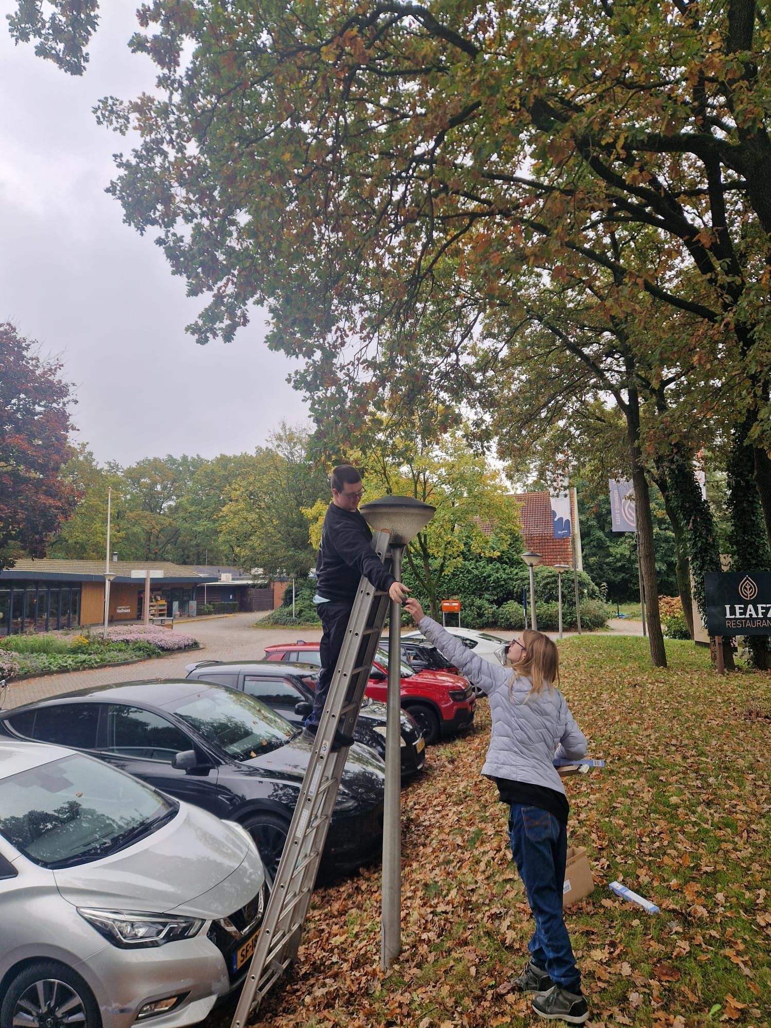Twee mensen staan ​​op een ladder en stellen een straatlantaarn af in de buurt van geparkeerde auto's en bomen.