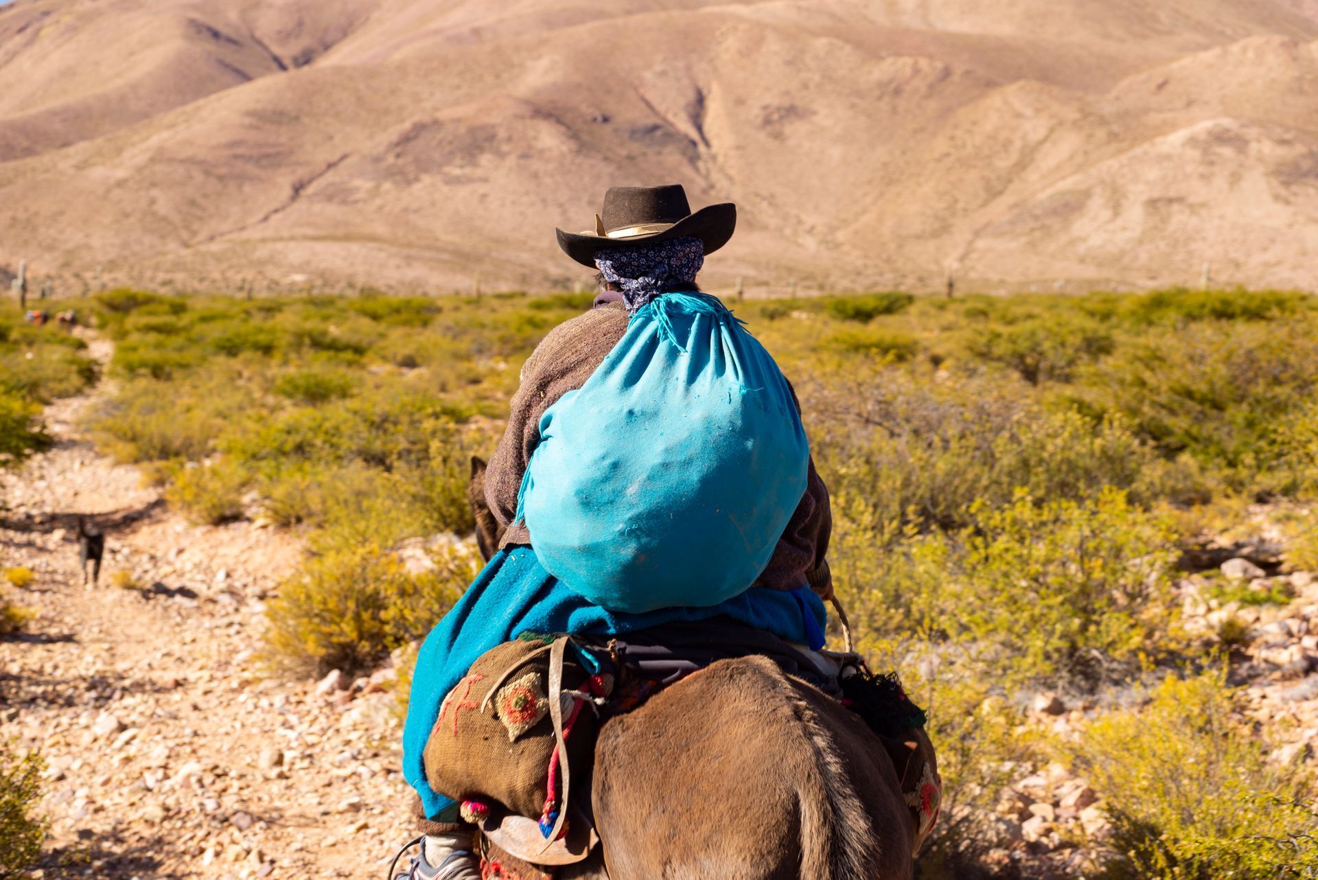 Chakana Expediciones AR