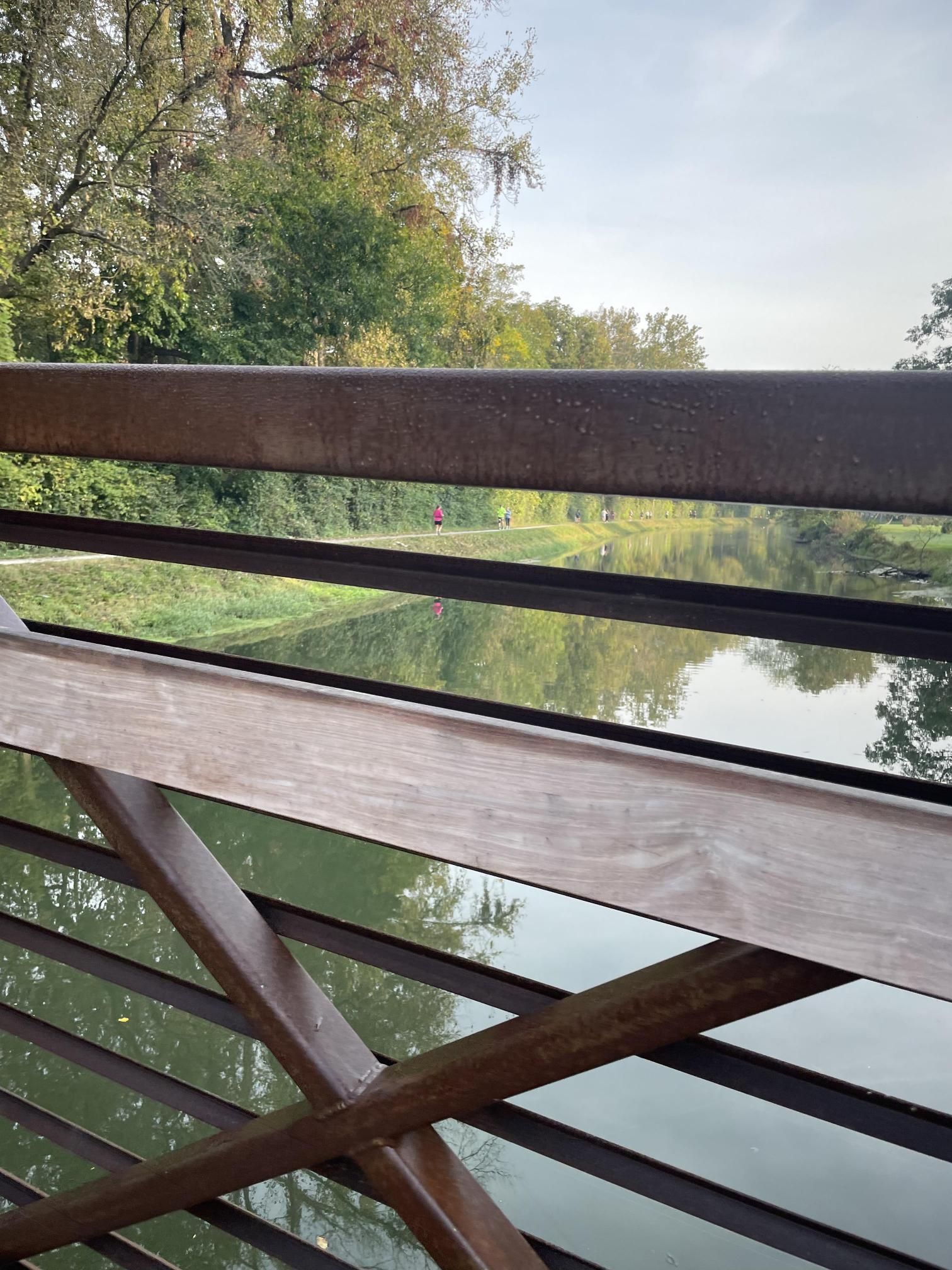 A bridge over a body of water with trees in the background