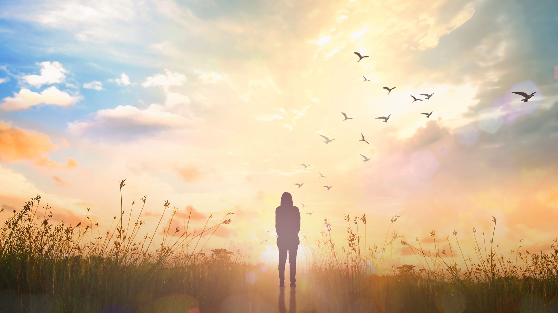 A woman is standing in a field with birds flying in the sky at sunset.