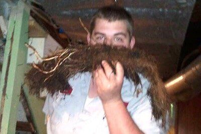 Man Holding Root with Soil — Drain Cleaning in Columbus, OH