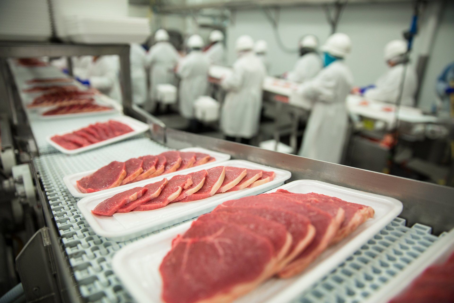 Produzione industriale carne