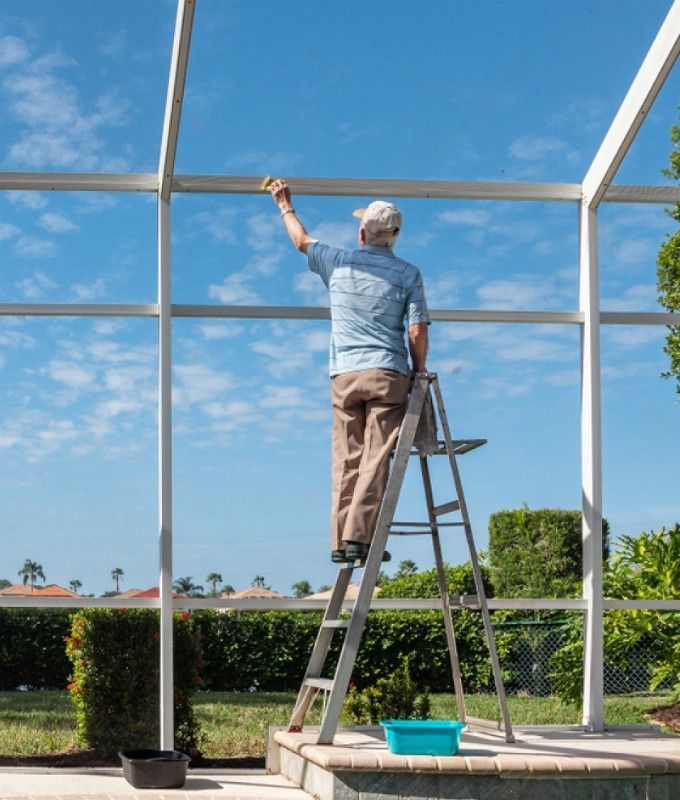 Person on ladder cleaning screen enclosure. Blue sky in the background, green bushes.