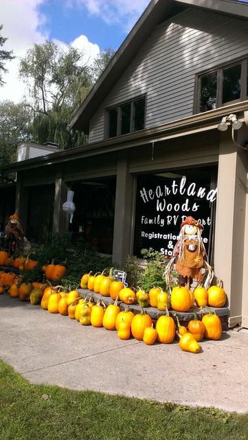 A bunch of pumpkins are sitting in front of a house.