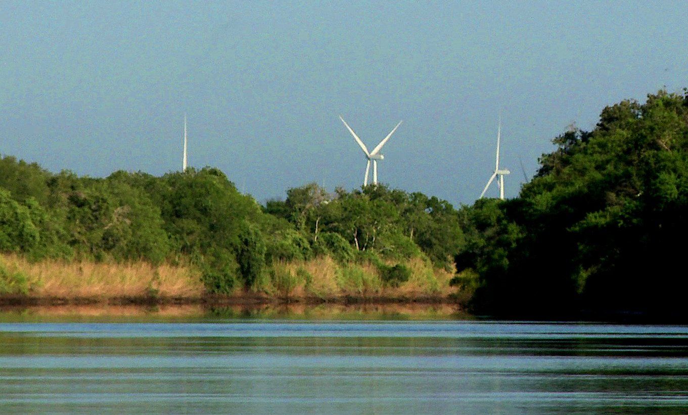 Windmills at Chiltipin Creek