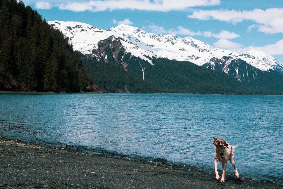 snow capped mountains surrounding a lake